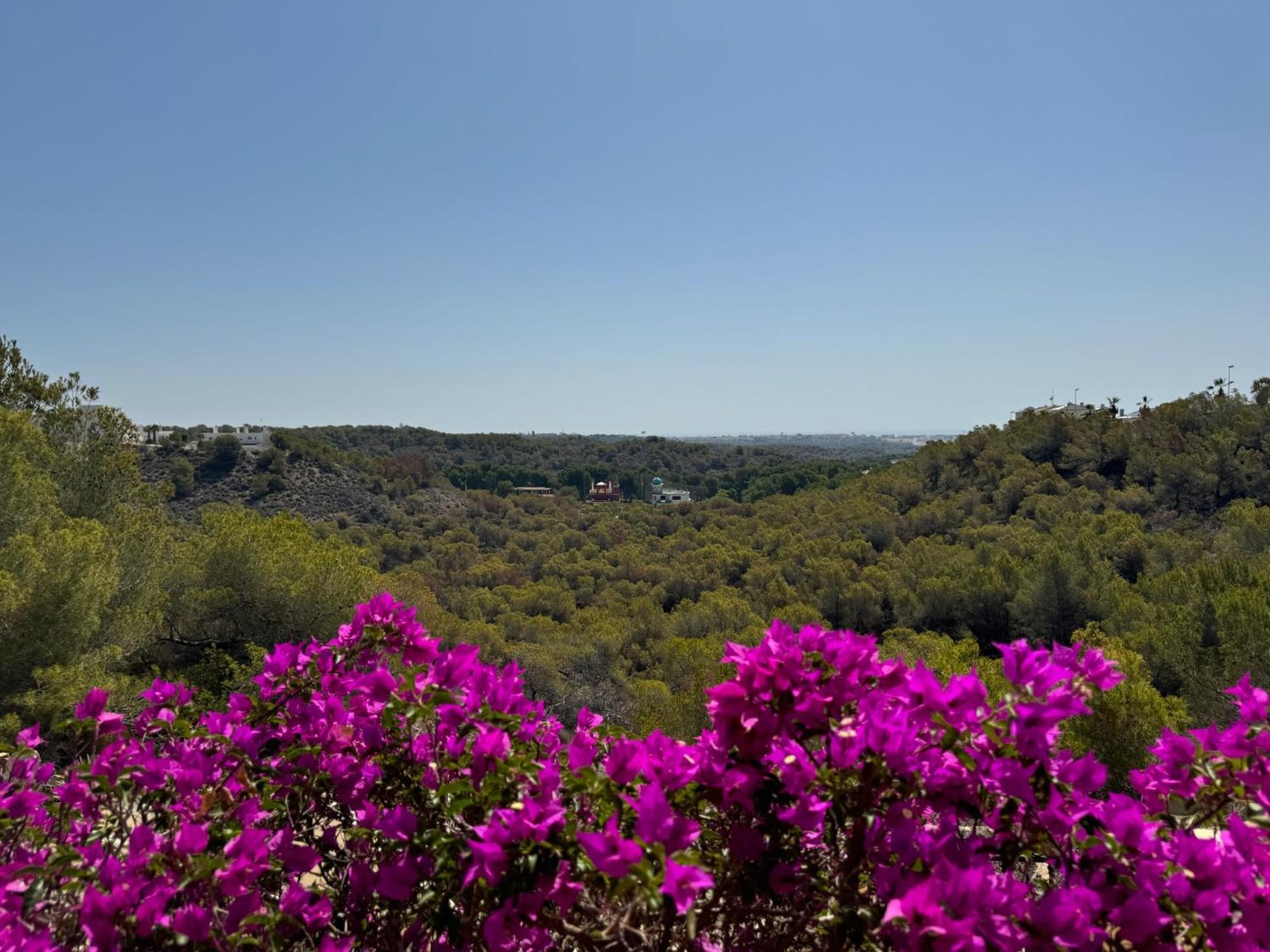 Orihuela - Las Ramblas - Casa Pino Dehesa de Campoamor  Exteriér fotografie